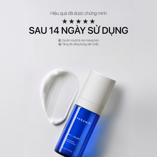 Alternative view of HAPCA FILLER