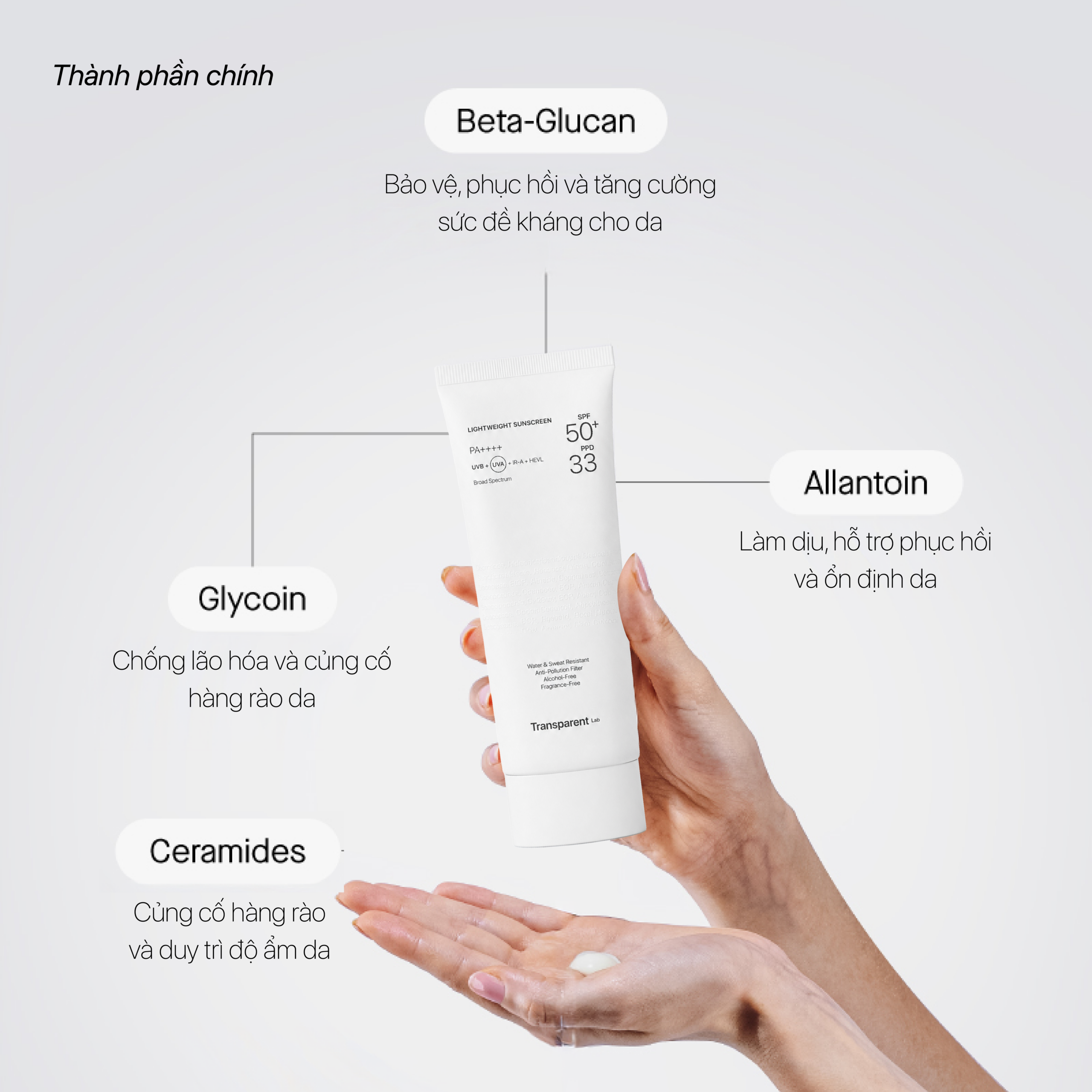 COMBO TRANSPARENT LAB BẢO VỆ & KIỂM SOÁT DẦU NHỜN - Ảnh 4