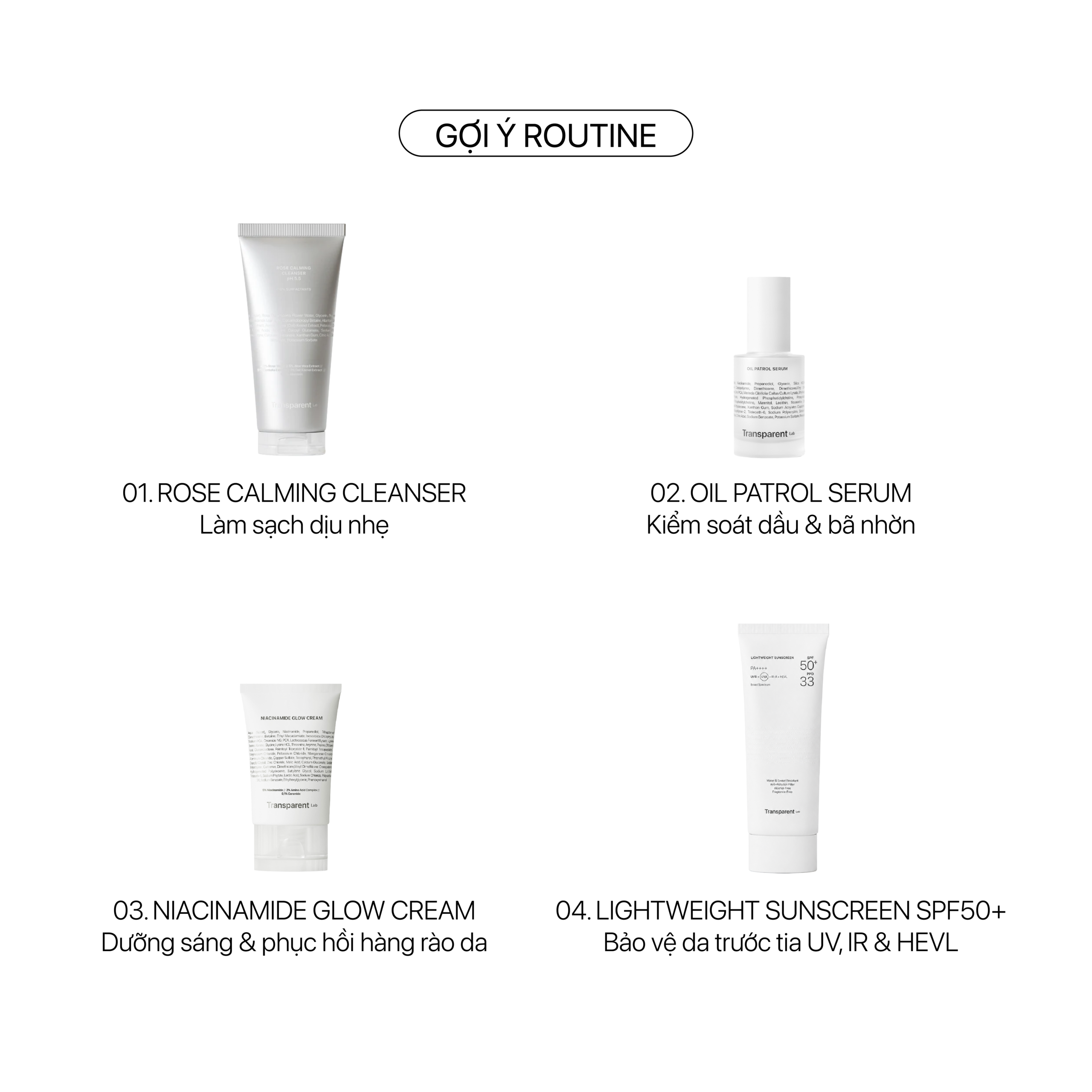COMBO TRANSPARENT LAB BẢO VỆ & KIỂM SOÁT DẦU NHỜN - Ảnh 5